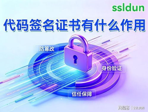 代碼簽名證書 作用、申請(qǐng)流程與費(fèi)用及存儲(chǔ)服務(wù)指南